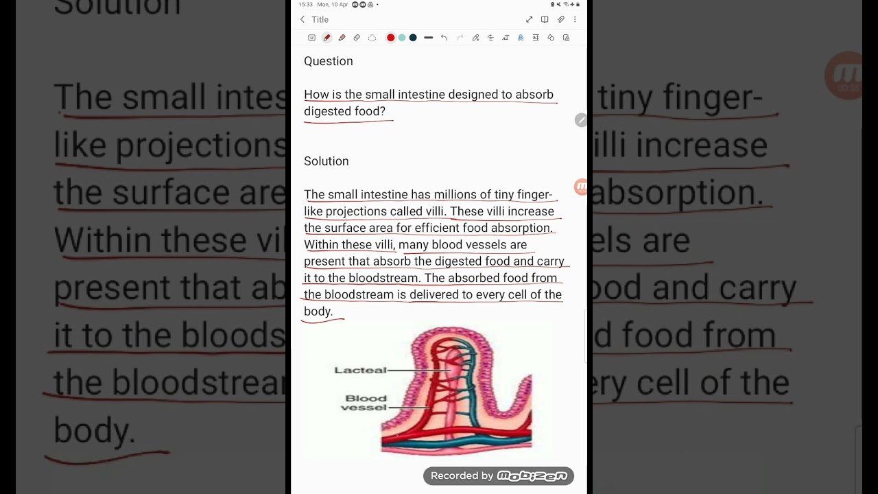 how is small intestine designed to absorb digested food